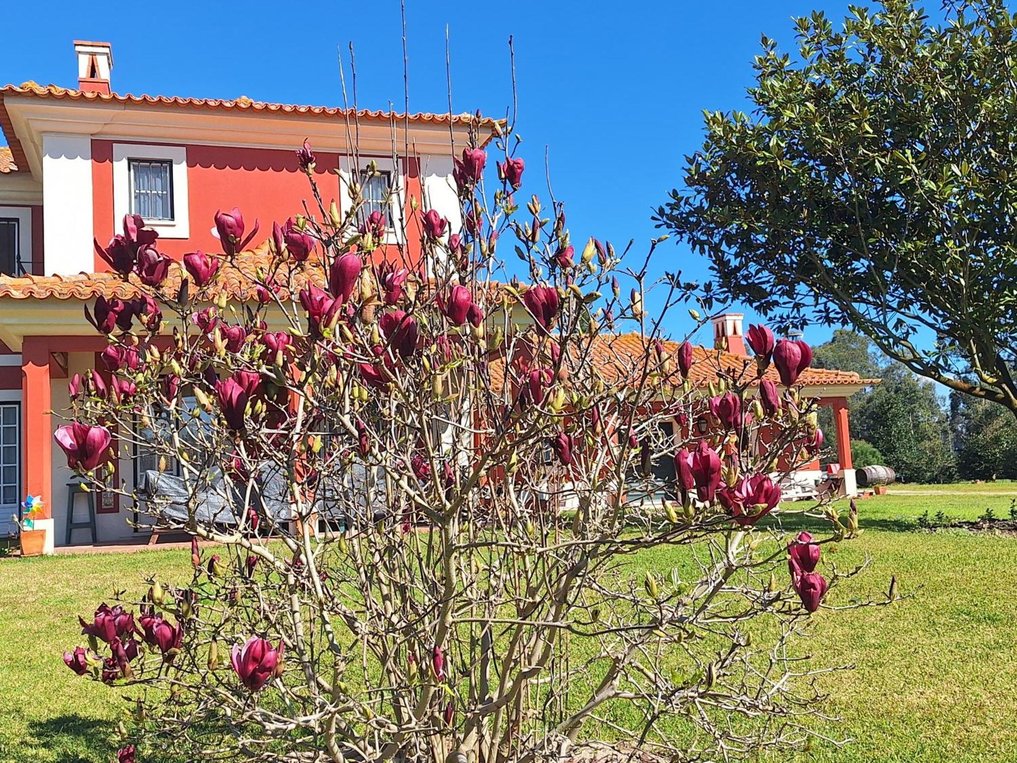 Casa Da Ria - Turismo Rural Ílhavo Exterior foto
