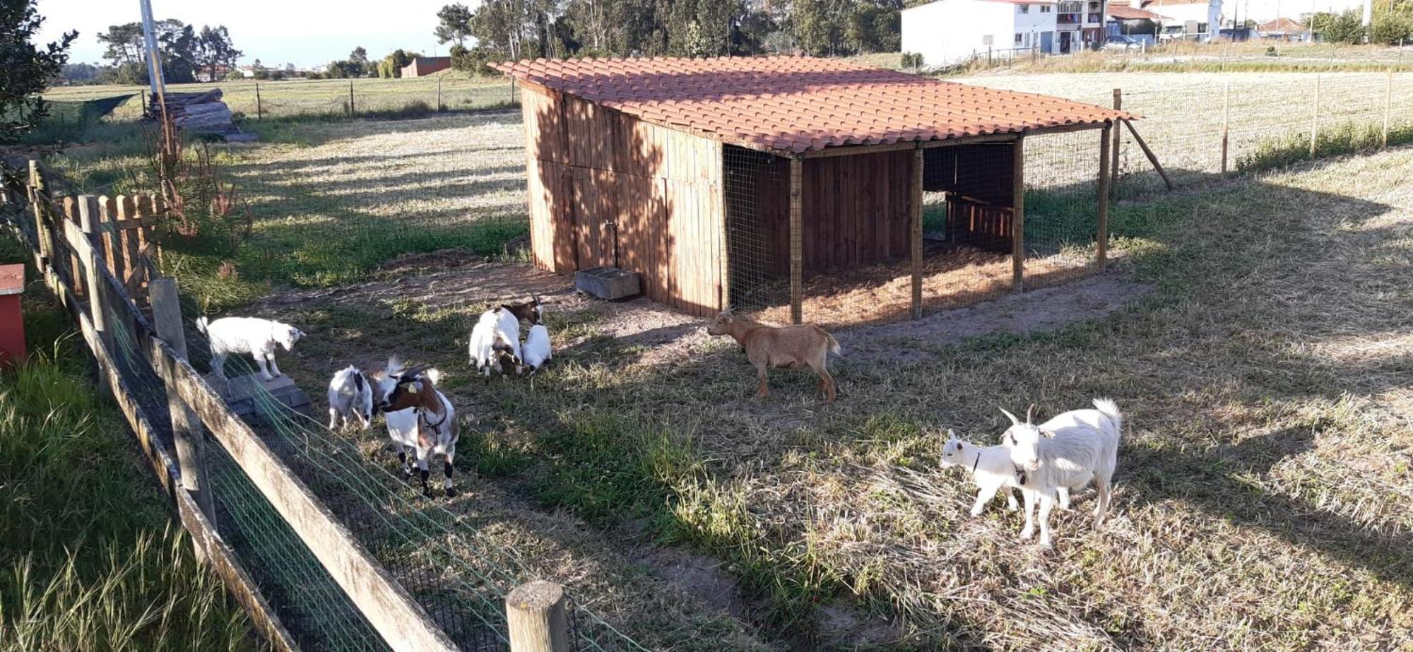 Casa Da Ria - Turismo Rural Ílhavo Exterior foto